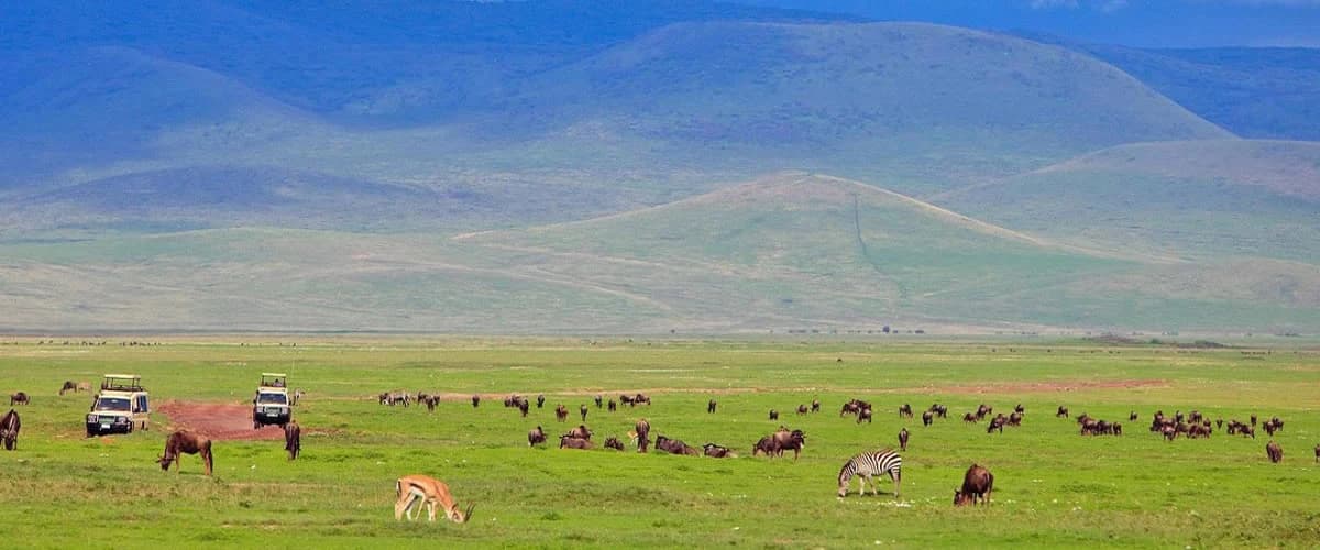 Mixed grazing wildlife scattered across open grassland beneath distant highlands