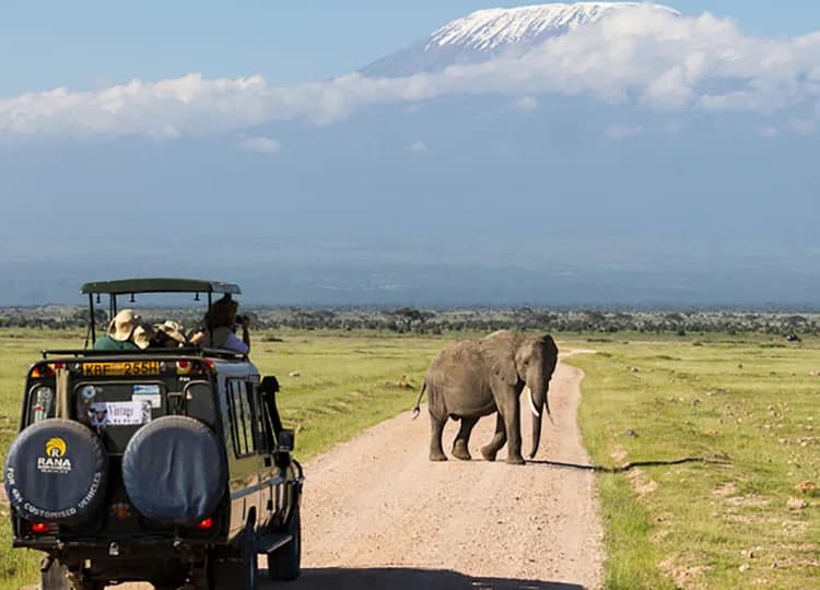 Safari vehicle near an elephant on an open plain with a mountain in the distance