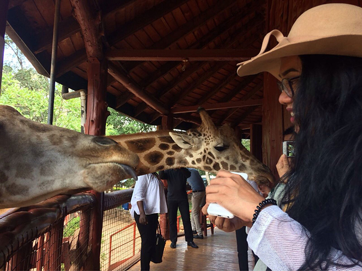 giraffe-center-day-tour