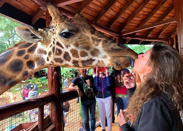 David Sheldrick, Giraffe Centre, and Kobe Beads Factory Tour